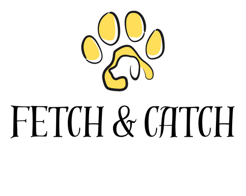 Fetch & Catch 
